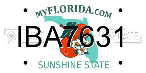 IBA7631 Florida License Plate
