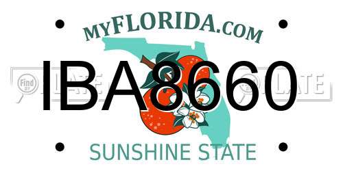 IBA8660 Florida License Plate