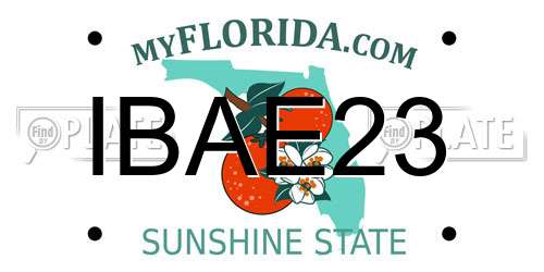 IBAE23 Florida License Plate
