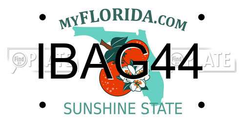 IBAG44 Florida License Plate