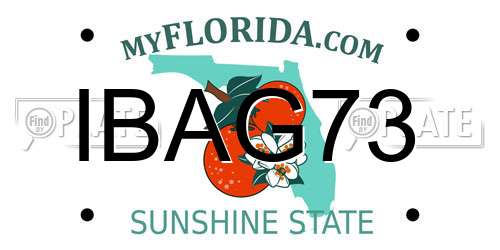 IBAG73 Florida License Plate