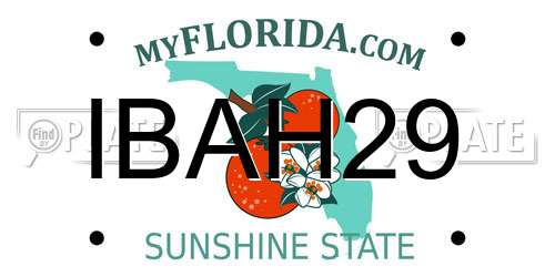 IBAH29 Florida License Plate