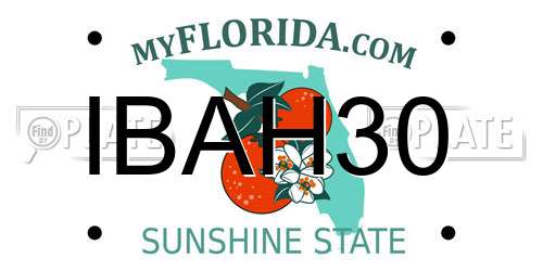 IBAH30 Florida License Plate
