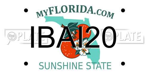 IBAI20 Florida License Plate