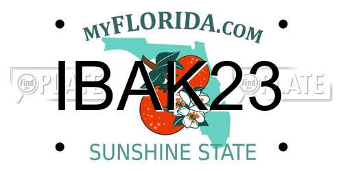 IBAK23 Florida License Plate