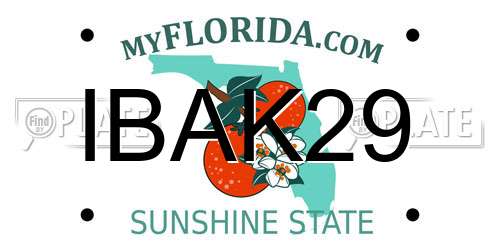 IBAK29 Florida License Plate