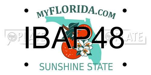IBAP48 Florida License Plate