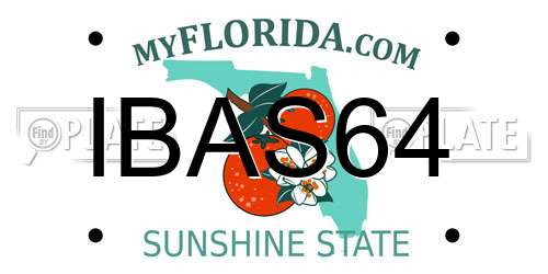 IBAS64 Florida License Plate
