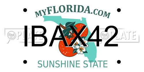 IBAX42 Florida License Plate