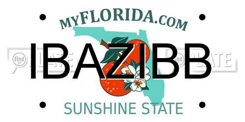 IBAZIBB Florida License Plate