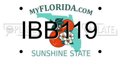 IBB119 Florida License Plate