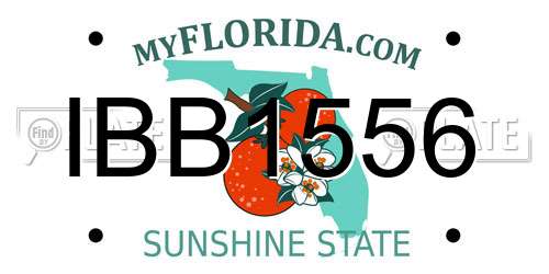IBB1556 Florida License Plate
