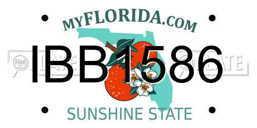 IBB1586 Florida License Plate