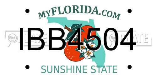 IBB4504 Florida License Plate