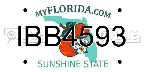 IBB4593 Florida License Plate