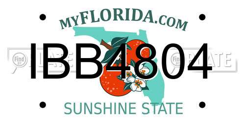 IBB4804 Florida License Plate