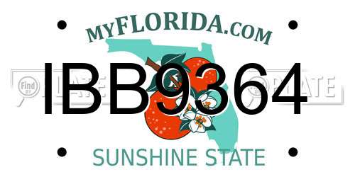 IBB9364 Florida License Plate