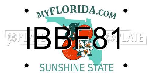 IBBF81 Florida License Plate