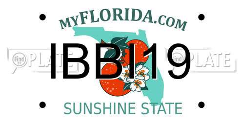 IBBI19 Florida License Plate