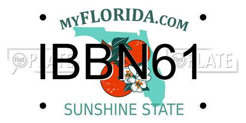 IBBN61 Florida License Plate