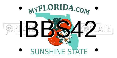 IBBS42 Florida License Plate