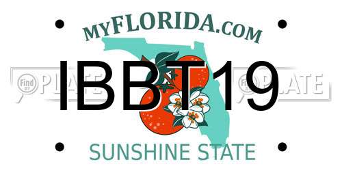 IBBT19 Florida License Plate