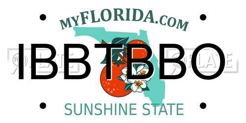 IBBTBBO Florida License Plate