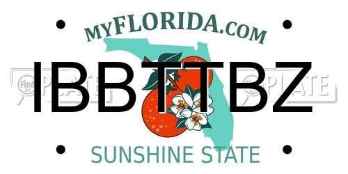 IBBTTBZ Florida License Plate