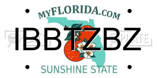 IBBTZBZ Florida License Plate