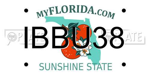 IBBU38 Florida License Plate