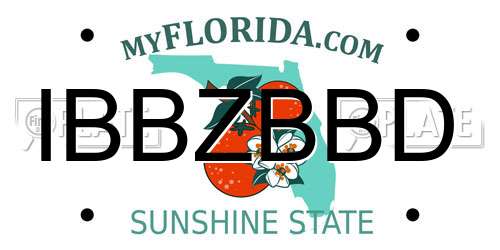 IBBZBBD Florida License Plate
