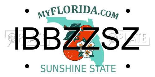 IBBZZSZ Florida License Plate