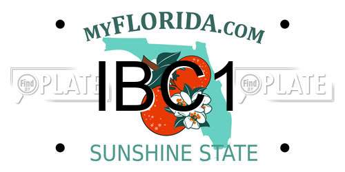 IBC1 Florida License Plate