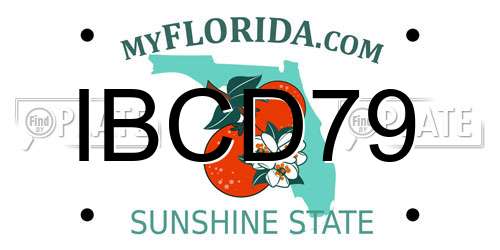 IBCD79 Florida License Plate