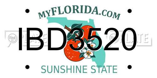 IBD3520 Florida License Plate