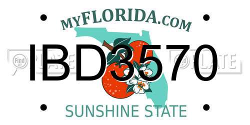 IBD3570 Florida License Plate