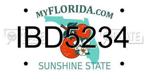 IBD5234 Florida License Plate