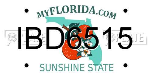 IBD6515 Florida License Plate