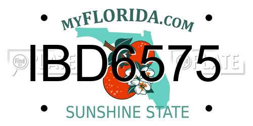 IBD6575 Florida License Plate