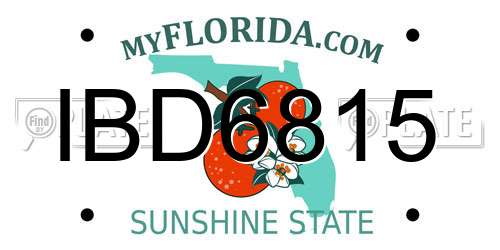 IBD6815 Florida License Plate