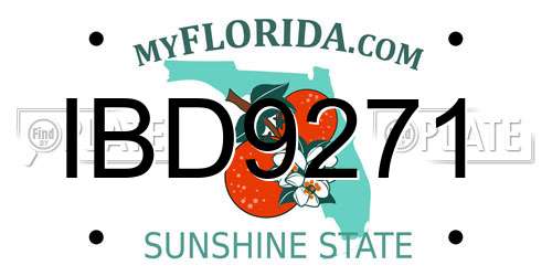IBD9271 Florida License Plate