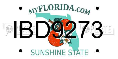 IBD9273 Florida License Plate