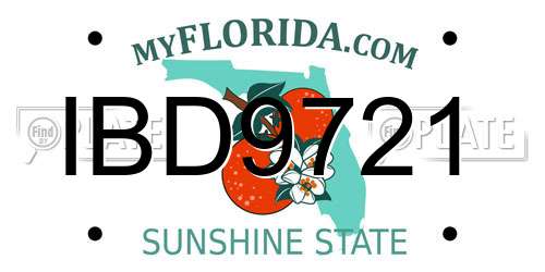 IBD9721 Florida License Plate