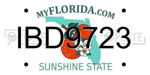IBD9723 Florida License Plate