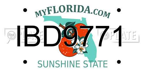 IBD9771 Florida License Plate