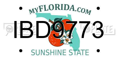 IBD9773 Florida License Plate