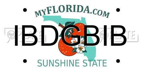 IBDGBIB Florida License Plate