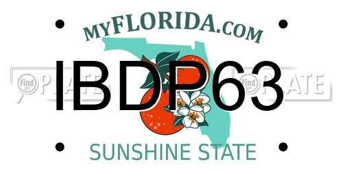 IBDP63 Florida License Plate