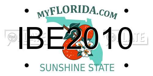 IBE2010 Florida License Plate