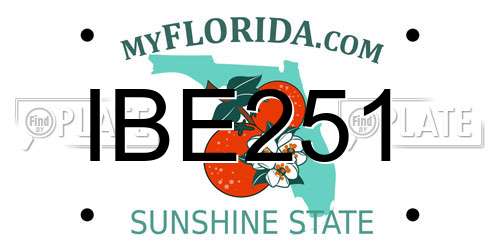 IBE251 Florida License Plate